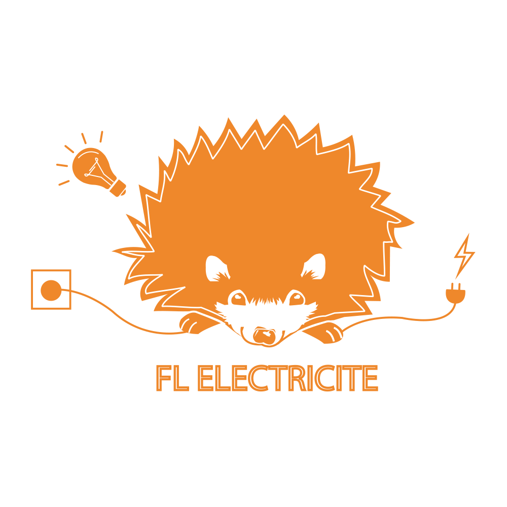logo fl electricite picardie et ile de france